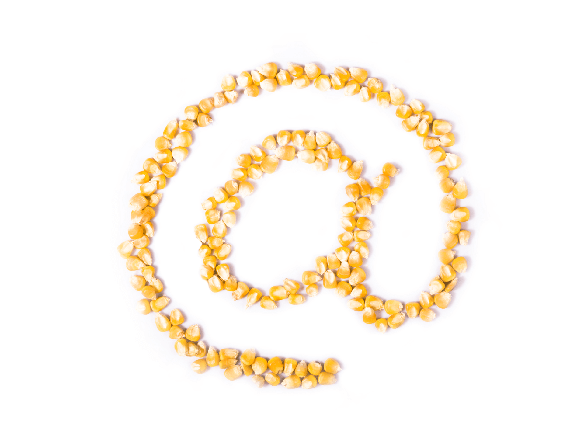 Arrova made from corn kernels Arrova made from corn kernels