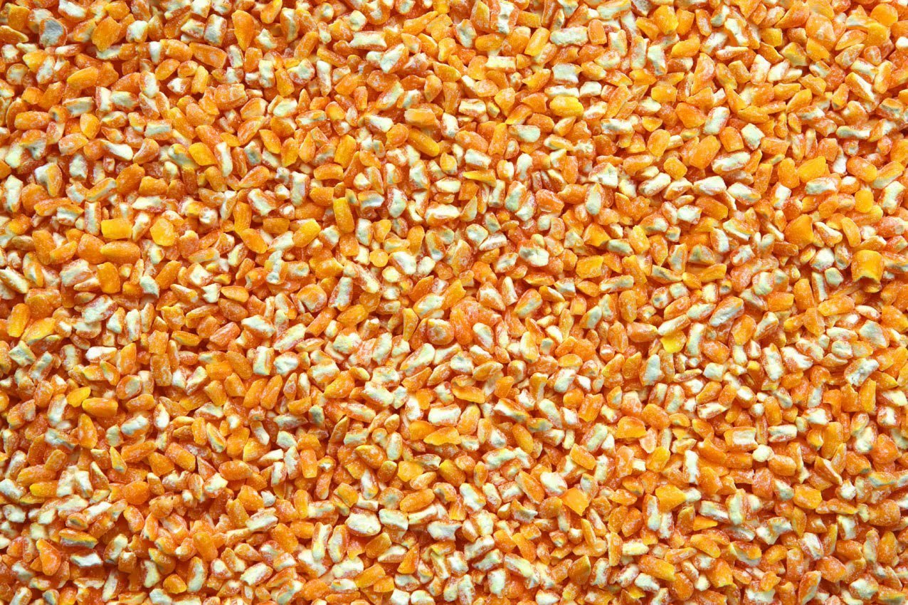 Blat de moro trossejat Blat de moro trossejat