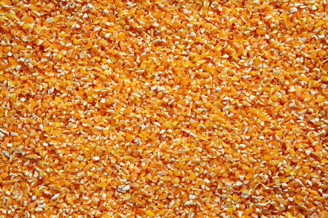 Blat de moro trossejat Blat de moro trossejat