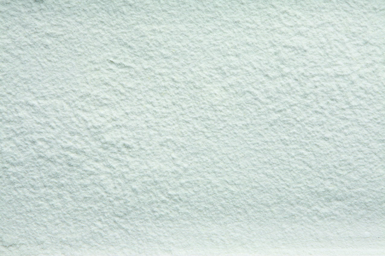 Farina de flor de blat de moro blanc Farina de flor de blat de moro blanc