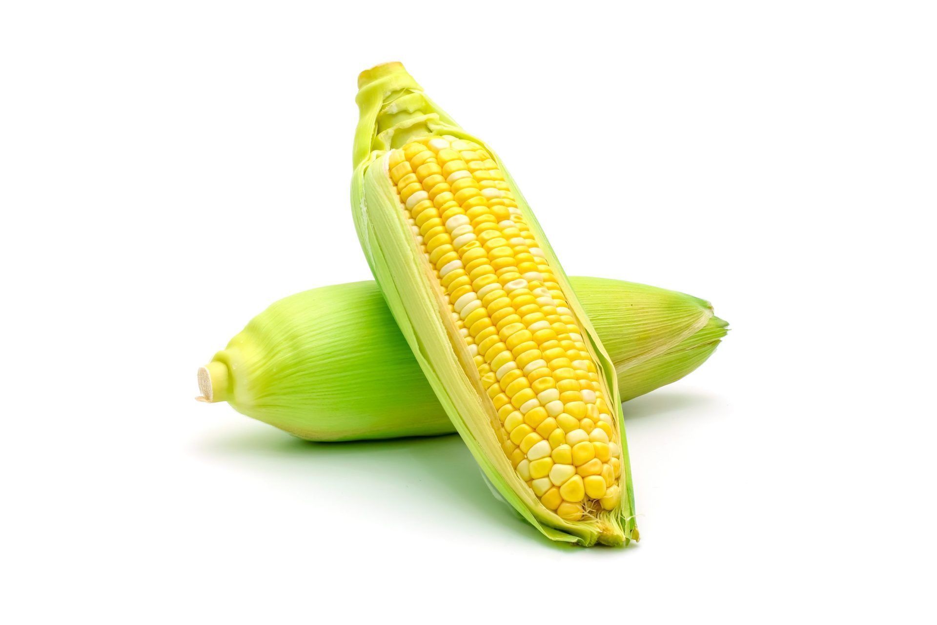Corn. Corn.